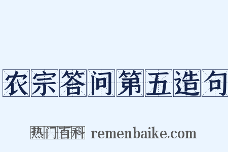 农宗答问第五造句是什么意思的图片